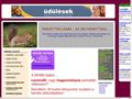 http://parkettascsaba.hupont.hu ismertető oldala